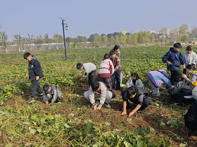 秋日研学正当时：解锁孩子的综合成长密码